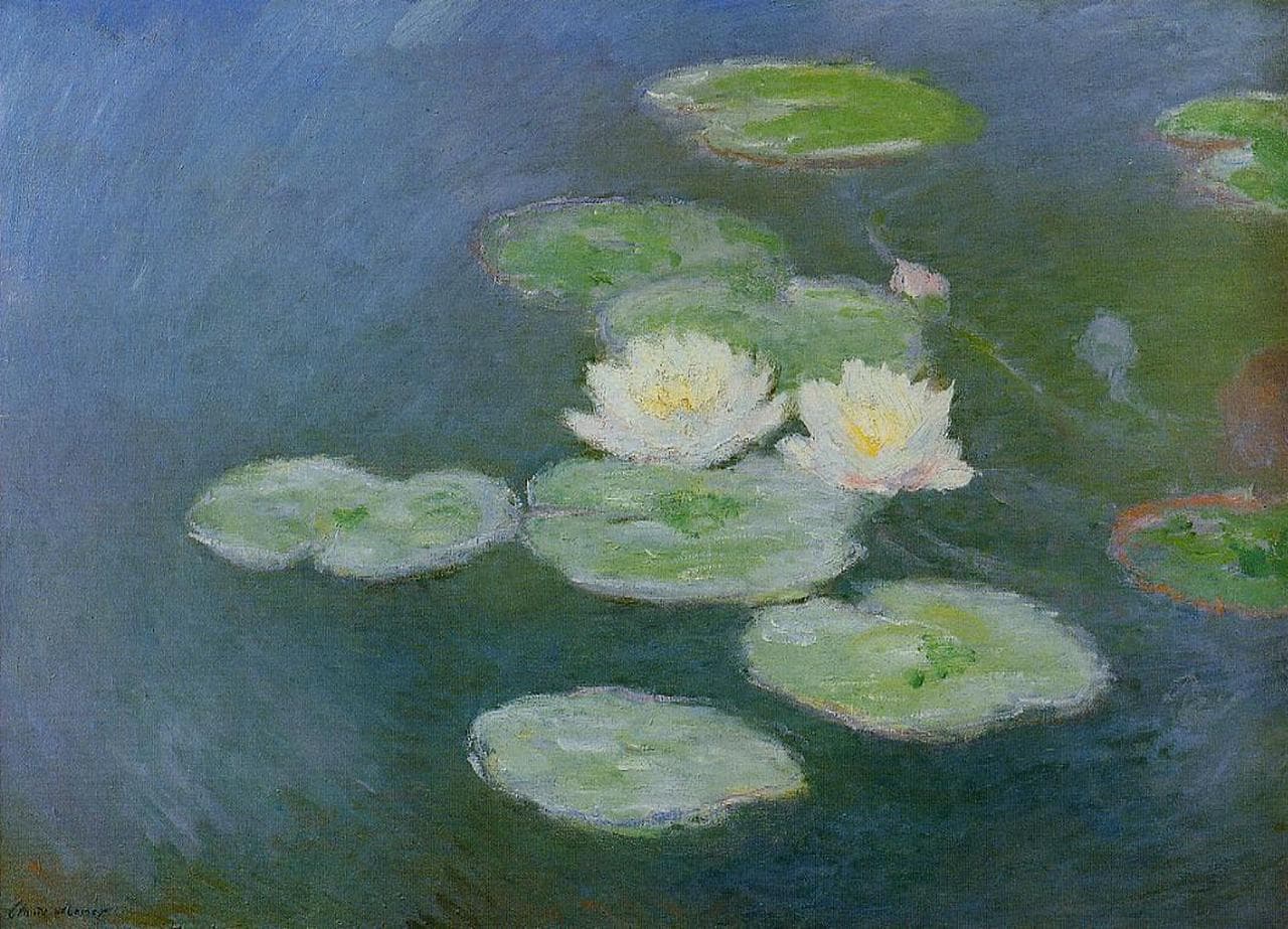 Water lilies evening effect